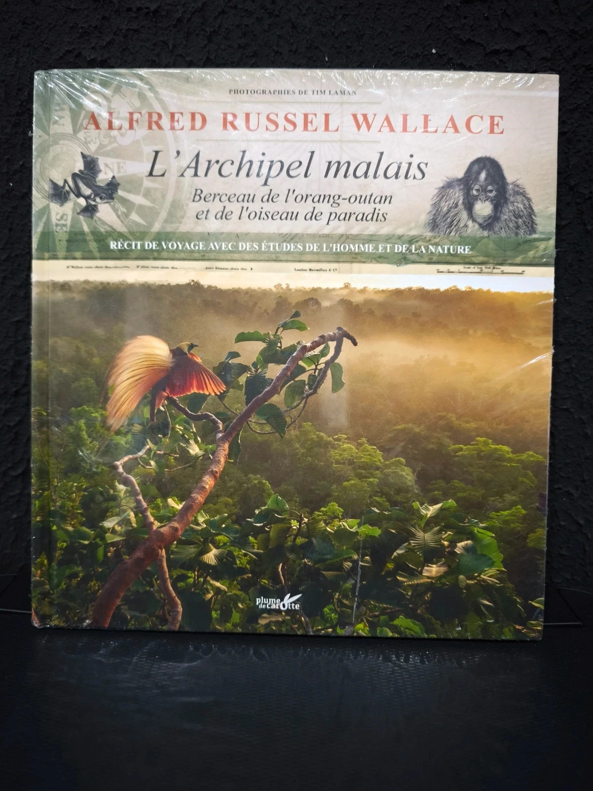 L'archipel Malais